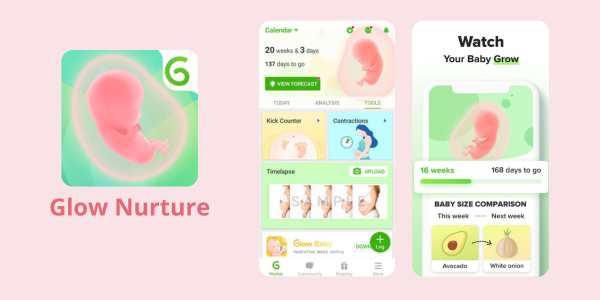 Best Pregnancy Apps